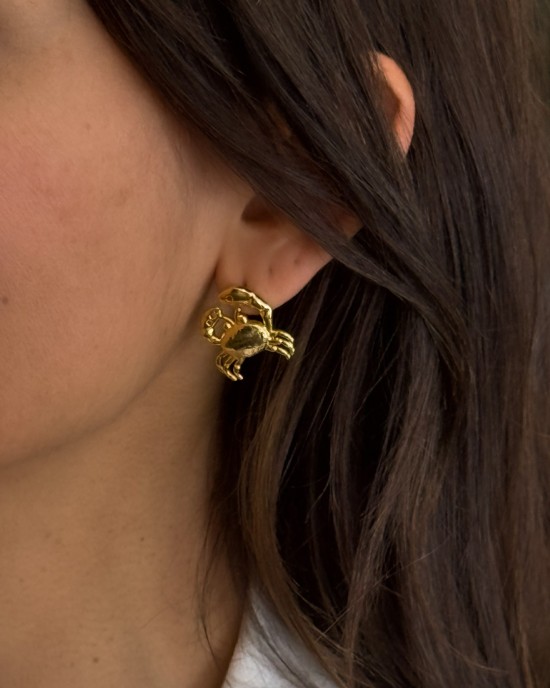Crab Earrings Crab Earrings