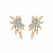 Star Earrings